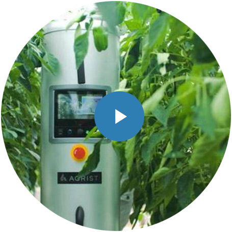 Automated Harvesting Robot by Japanese Startup AGRIST is Solving Agriculture Problems